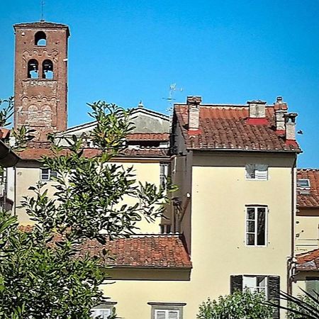 La Butterfly Guest Apartment Lucca Eksteriør bilde