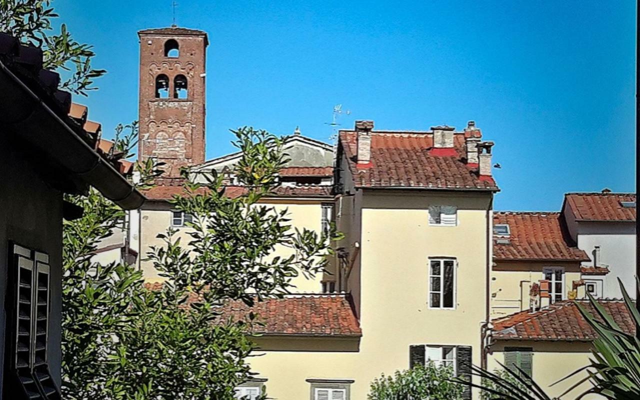 La Butterfly Guest Apartment Lucca Eksteriør bilde